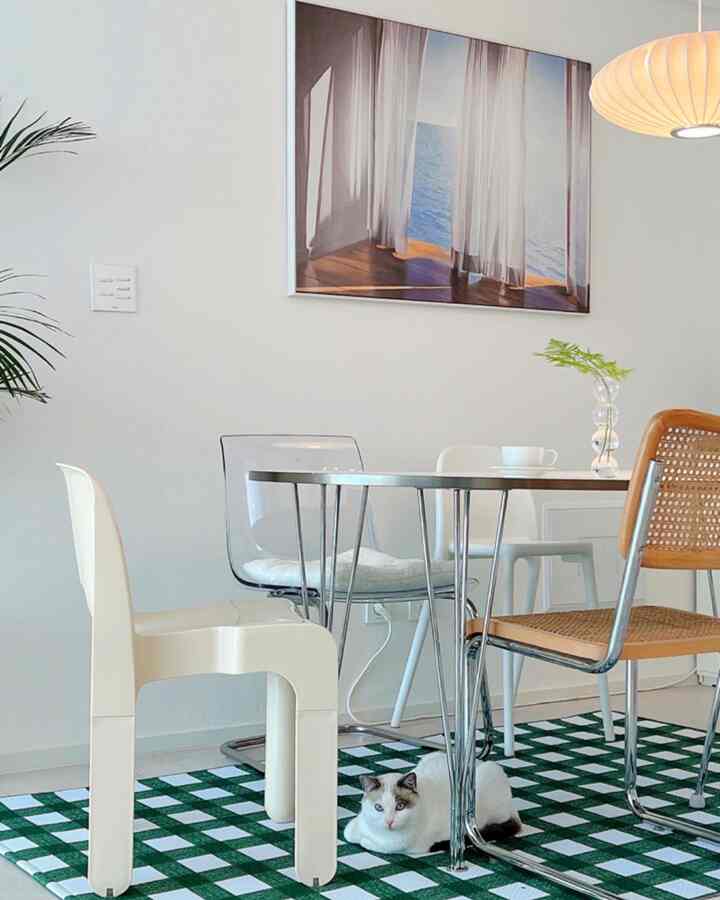 白と緑のトーンが印象的なモダンなダイニングスペース、床に猫が座っている
