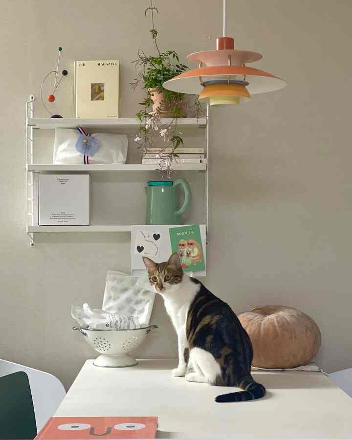 Ivory-tone wall kitchen space featuring a white dining table with a centrally seated cat and a Louis Poulsen PH5 pendant light creating a cozy atmosphere