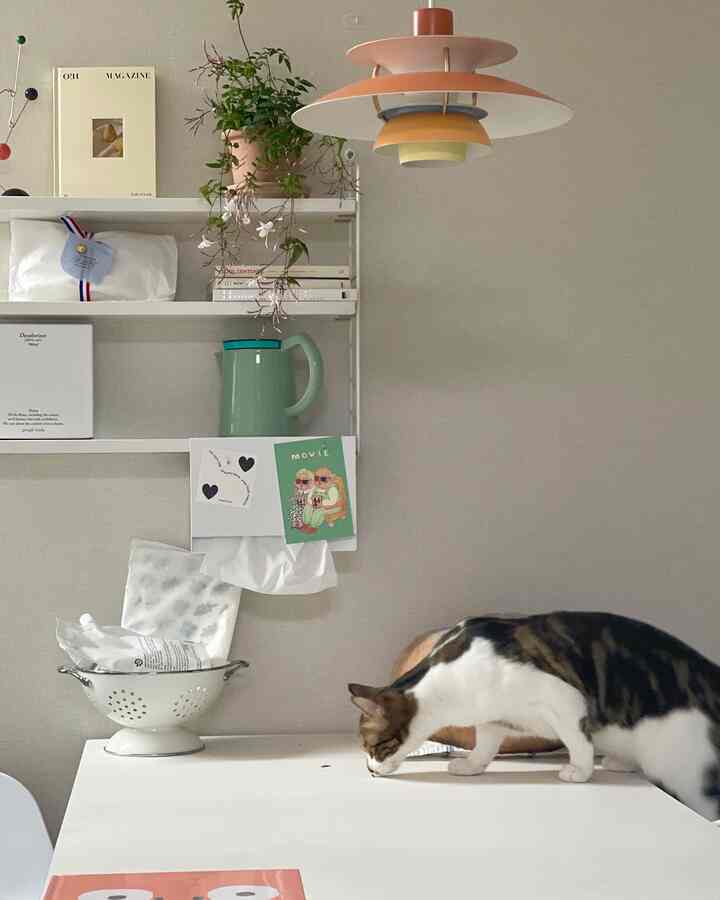 Soft ivory-toned kitchen space featuring a white dining table with a cat on it, creating a cozy atmosphere