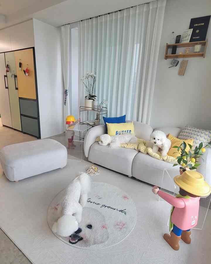 A white and yellow toned living room featuring a white sofa and round rug with three dogs relaxing comfortably