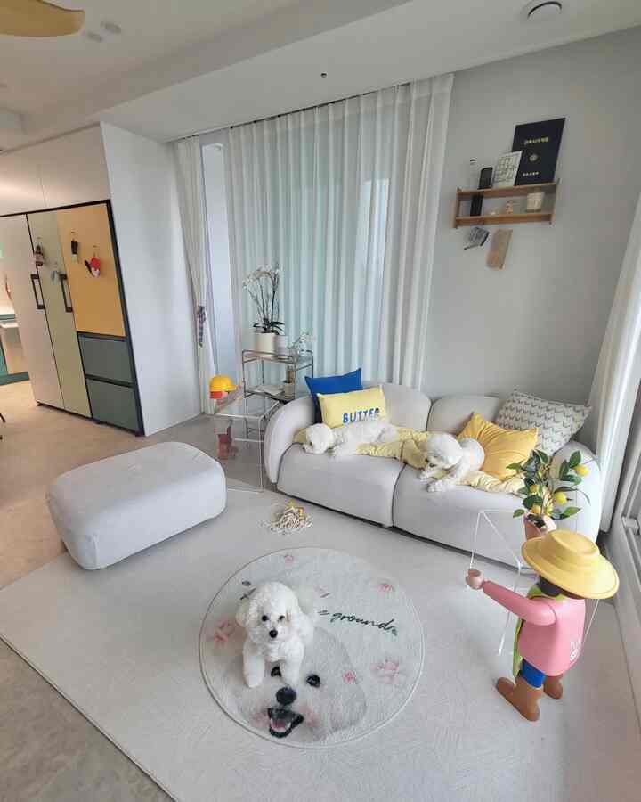 Bright white-toned living room featuring ivory sofa with yellow cushions, three small dogs, and a decorative lemon tree creating a cozy space