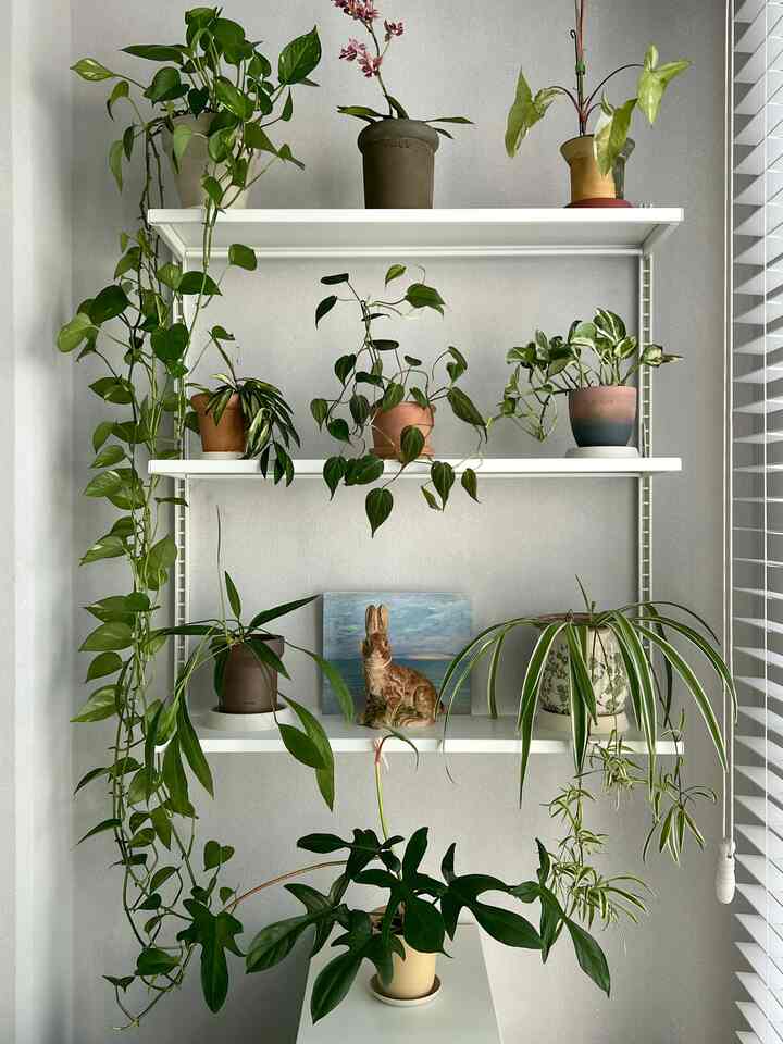 SYSTEM000 SET 04［7色・2サイズ］を使ったコーディネート 1