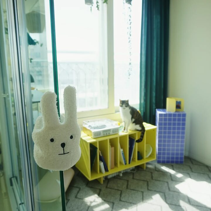 short form carousel card thumbnail