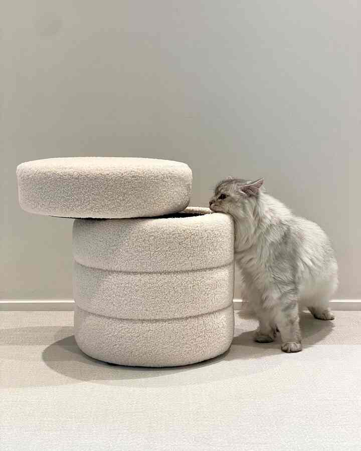 Ivory-toned indoor space featuring a central round storage ottoman with its lid open and a cat on the right, creating a clean atmosphere
