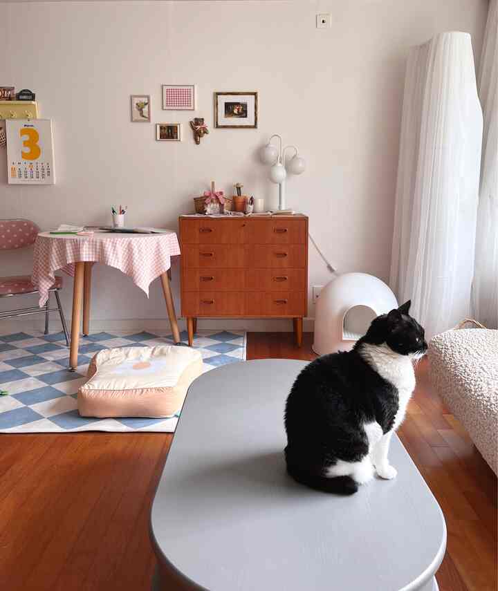 Natural toned living room featuring a black and white cat, wooden dresser, bread-shaped cushion, and pink check dining table in a cozy setting