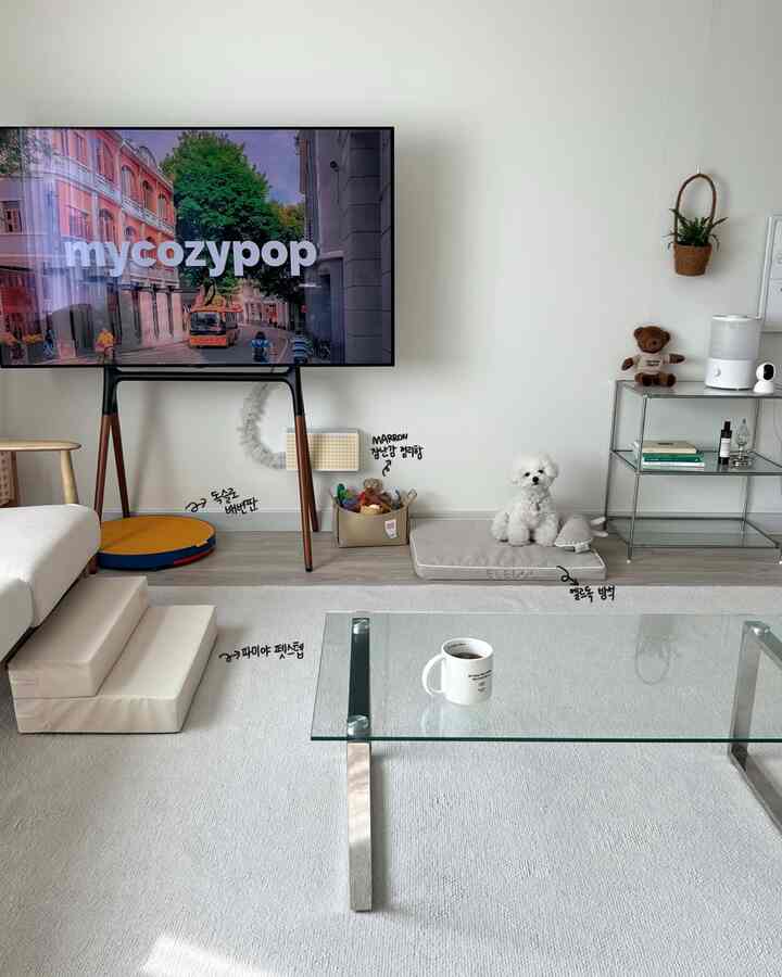 Bright white and wood-toned living room featuring dog mat, pet steps, and minimalist furnishings for a pet-friendly space