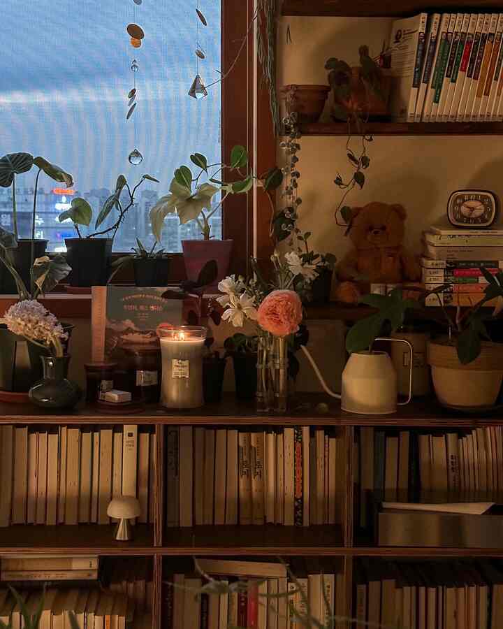 Warm wood tones and green plants blend in a home library featuring bookshelves and a candle creating a cozy nighttime atmosphere