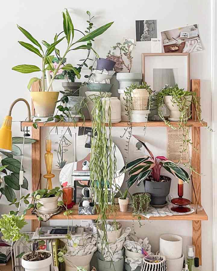 3月のオハウス 💚

まとめましたが、ティーがない棚 

植木鉢を落とし、汚れの整理をしましたが、写真で見ると一つもティーがありません🤪

今年の目標：余白の美！

