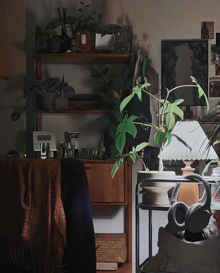 ナチュラルな木目調の家具と緑の植物が配置された、居心地の良い雰囲気のあるインテリア