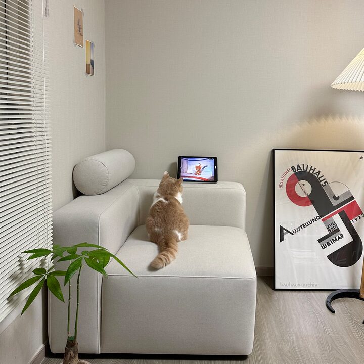 short form carousel card thumbnail