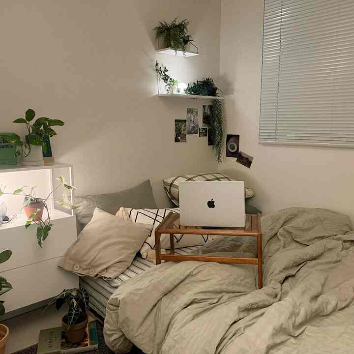 白い壁とブラインド、ナチュラルな木製テーブルと緑の植物が配置された居心地の良い一人暮らしの寝室