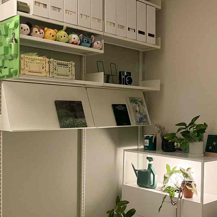 A compact space in white and green tones featuring wall shelves, storage units, and indoor plants with a natural vibe
