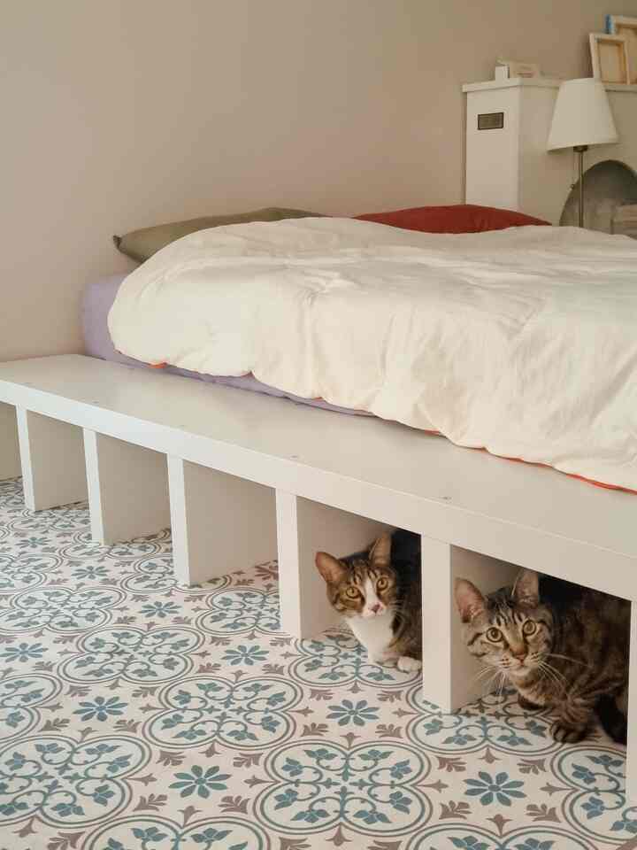 White and beige toned bedroom featuring a shelf under the bed with two cats resting underneath, creating a cozy atmosphere
