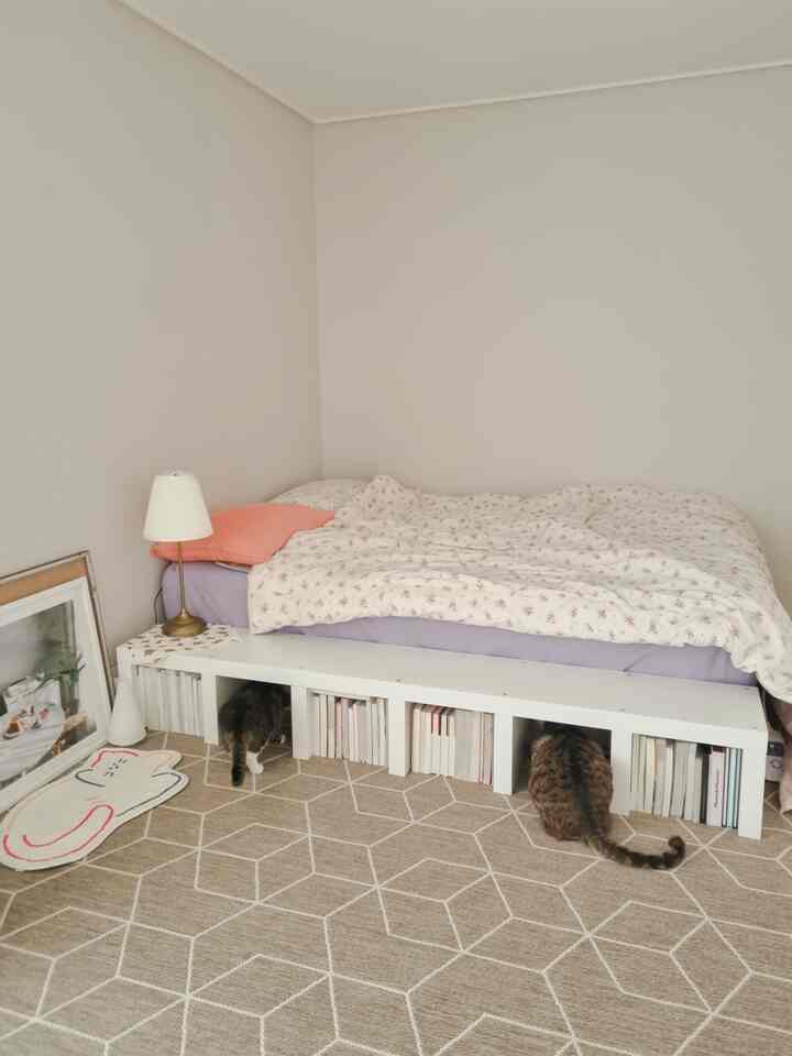 Natural beige-toned bedroom featuring a bed with under-bed book storage and two cats creating a cozy atmosphere