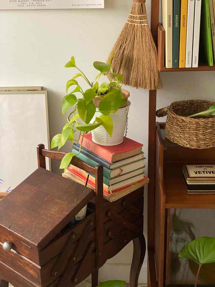 Natural tone corner of living space featuring vintage wooden storage box and green plants creating cozy atmosphere
