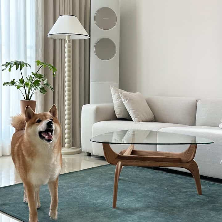 A white and natural toned living room featuring a beige sofa, wooden-legged glass table, green monstera plant, and a Shiba Inu dog in a cozy setting