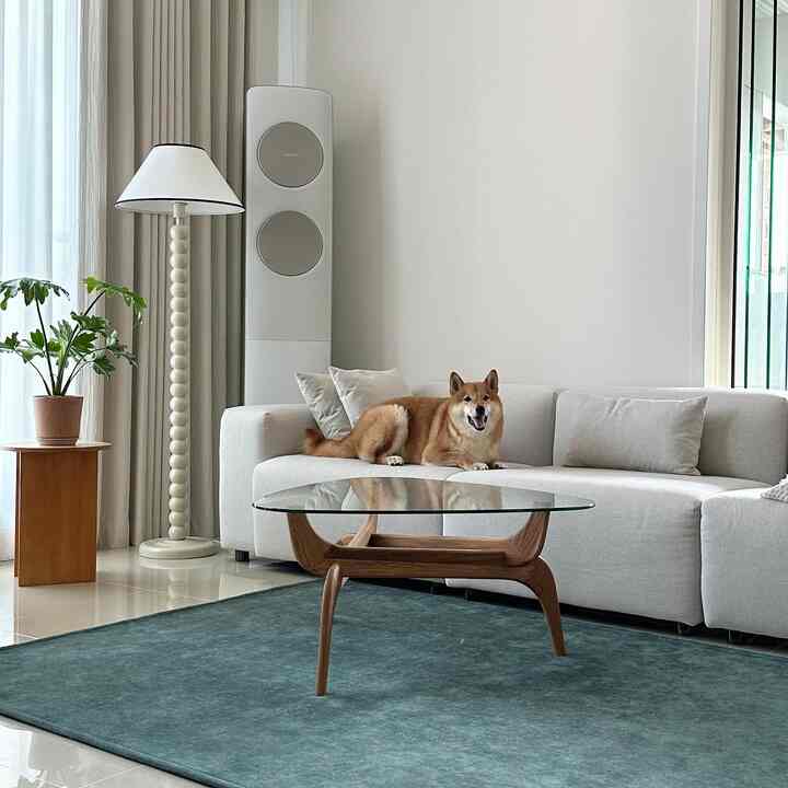 Bright white-toned living room featuring a beige sofa with a dog, wooden coffee table, and floor lamp creating a natural ambiance