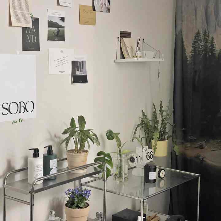 White-walled modern space featuring metal shelves with various potted plants creating a natural and cozy atmosphere