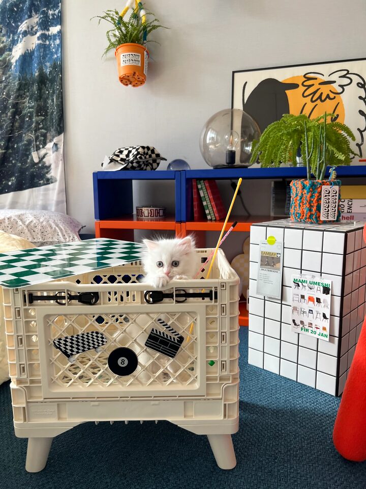 short form carousel card thumbnail