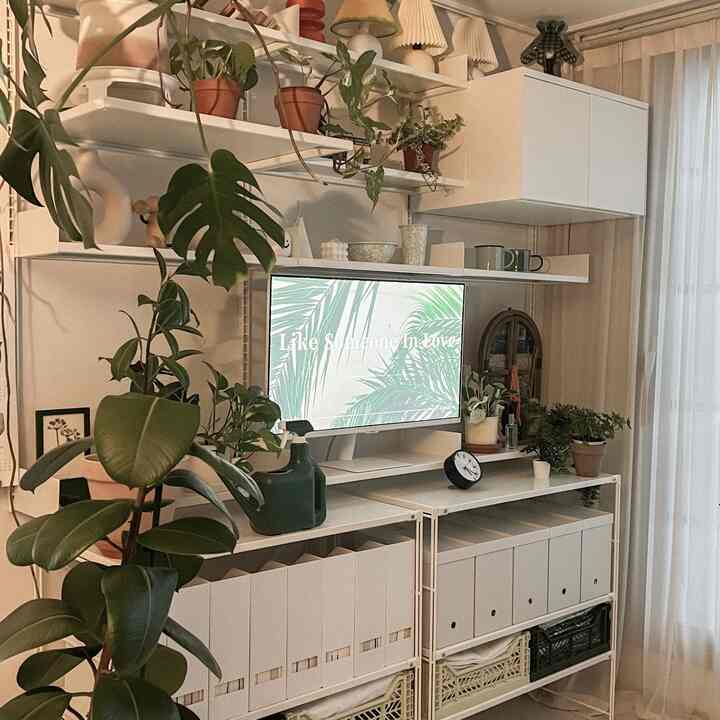 White-toned living room featuring central white shelves with various green plants creating a cozy, natural atmosphere