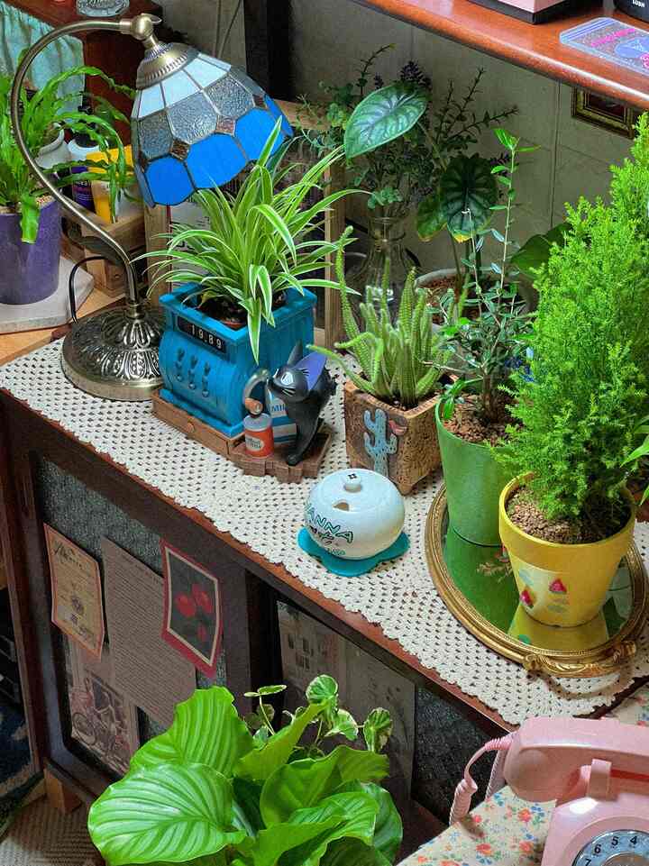 Cozy space featuring green plants and pots on a cabinet with vintage decor and a blue stained glass table lamp