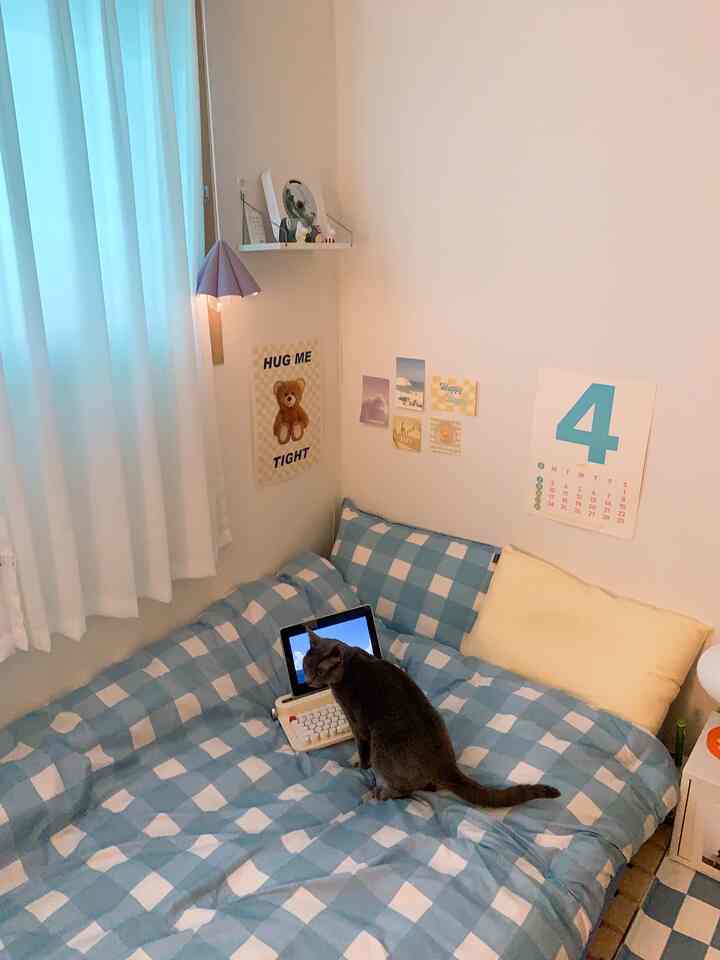 Sky blue checkered bedding and beige walls in a bedroom featuring a cat sitting on the bed creating a cozy atmosphere