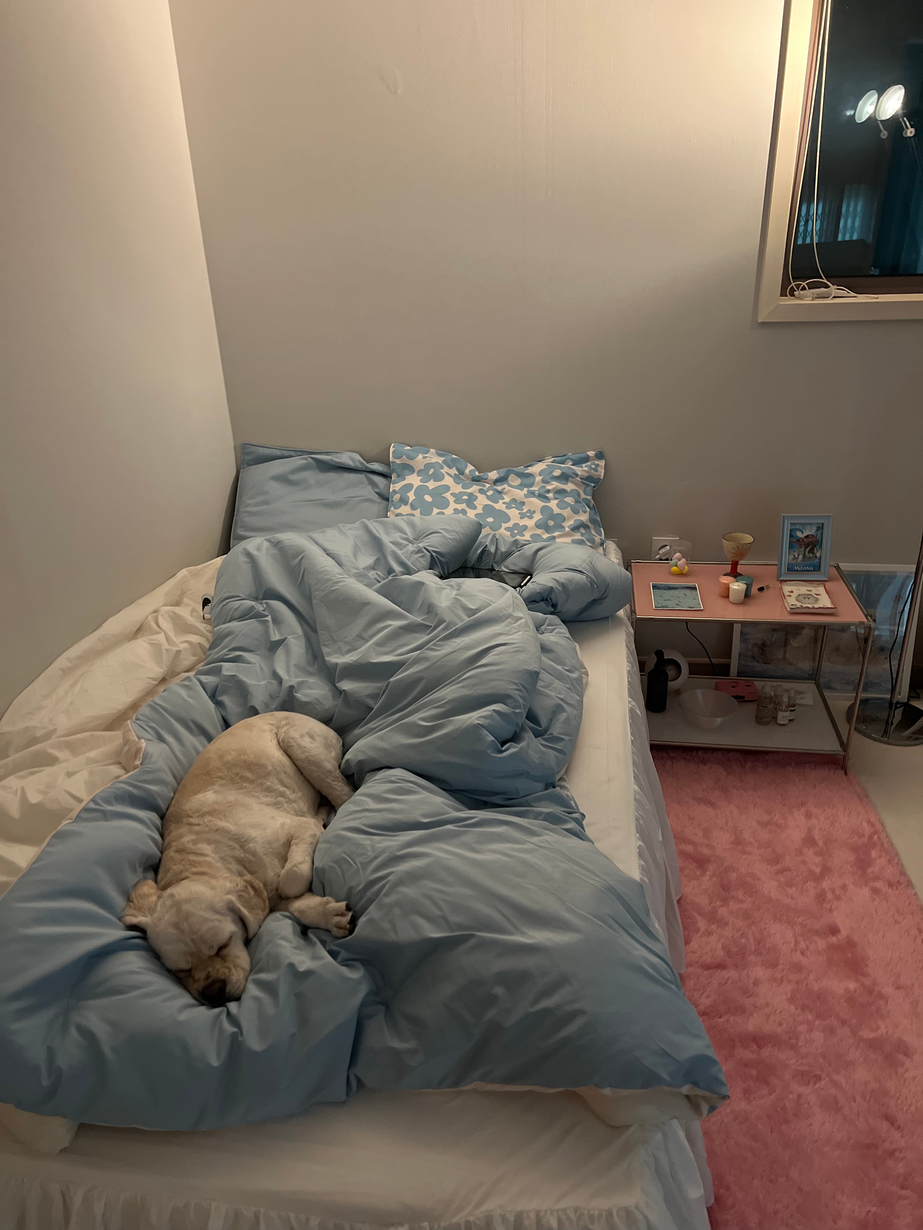Soft Apple Blend Comforter & Pillow Set user photo