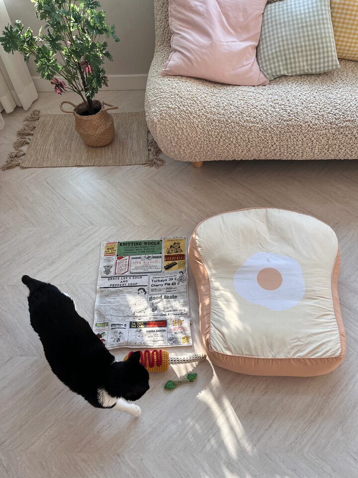 short form carousel card thumbnail