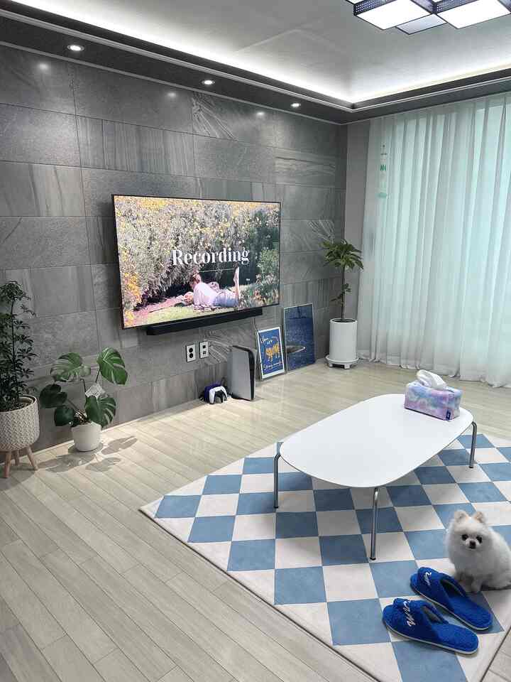 白と青の色調が調和するリビング、中央にテーブルとラグがあり、小さな犬が青いスリッパのそばに座る雰囲気のある空間