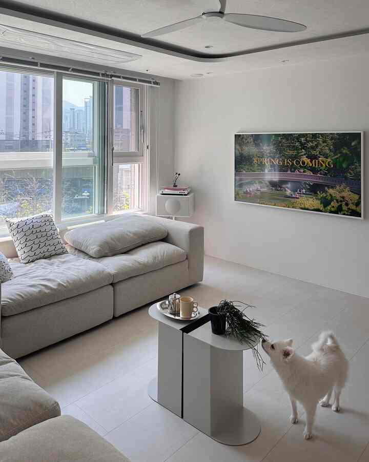 Bright white and beige living room with large sofa, coffee table, and a dog in a modern, open atmosphere