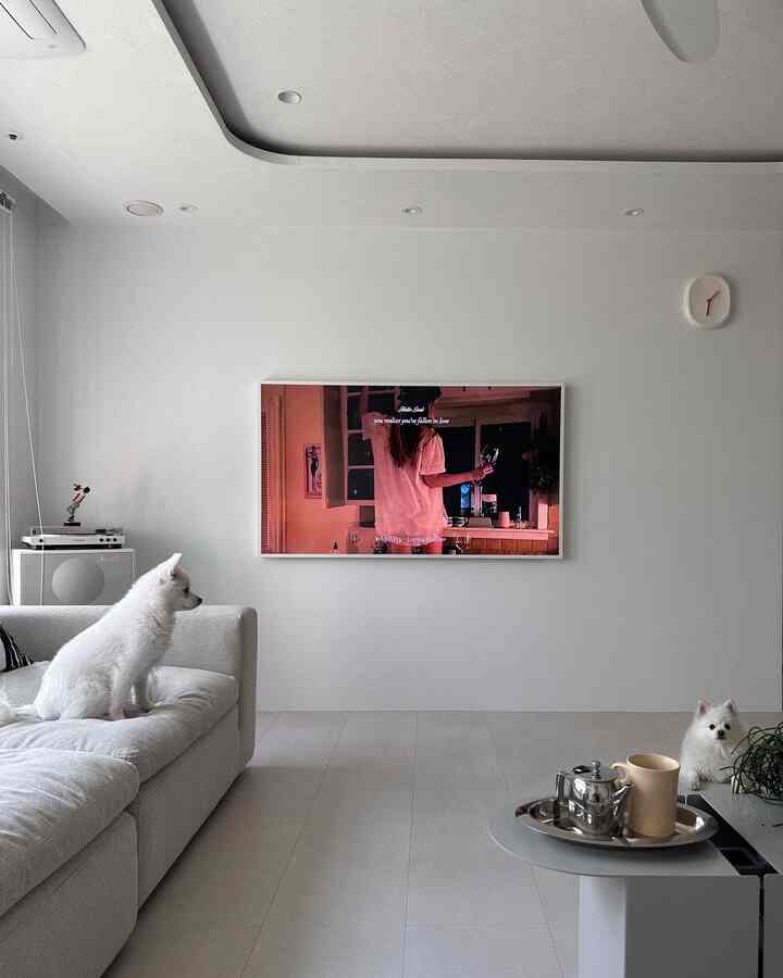 White-toned living room featuring sofa, teapot on coffee table, and two pet dogs in a modern cozy space