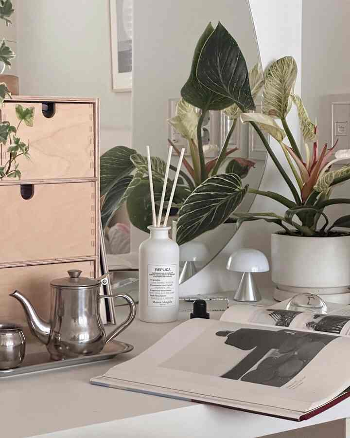 Natural modern space with plants, diffuser, and stainless steel teapot on white and silver toned table