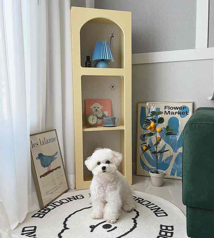 白と黄色の色調のリビング、かわいい白い犬と黄色の棚、緑色のソファが配置された雰囲気のあるインテリア