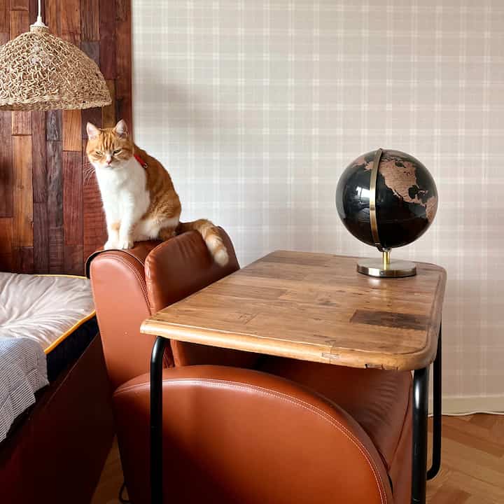 Brown leather sofa and wood-toned desk in living room, a cat sitting on sofa backrest creating a natural cozy atmosphere