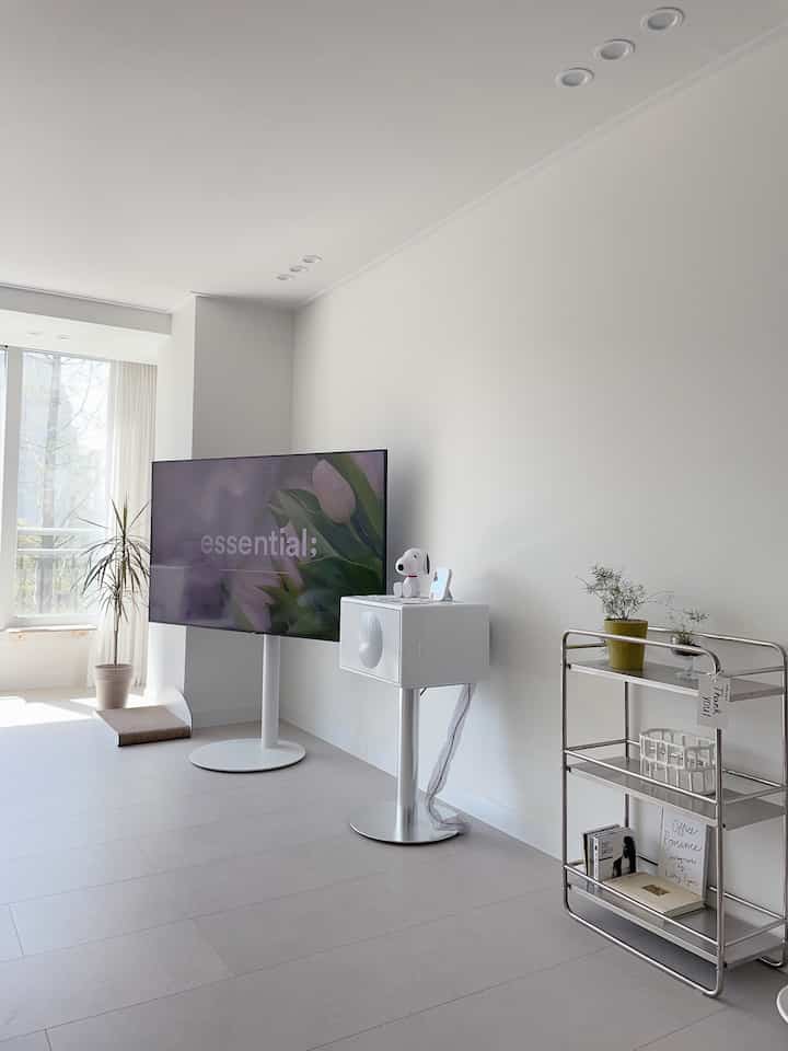 White-toned living room featuring stainless steel furniture, white audio stand, TV, and shelving in a modern and clean space