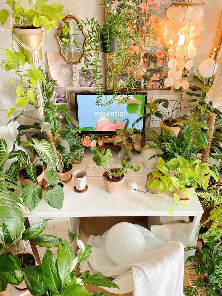 ホワイトとグリーンの色調のベランダ風空間、様々な鉢植えと植物が配置されたデスクと居心地のよいインテリア