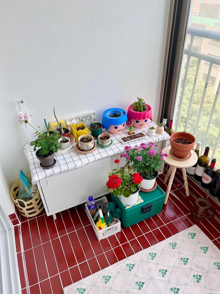 short form carousel card thumbnail