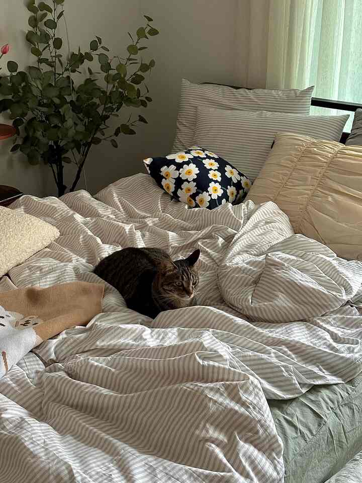 ナチュラルなトーンとベージュ色の寝室、ストライプの掛け布団カバーと花柄クッションが配置されたベッドに猫がくつろいでいる雰囲気のあるインテリア