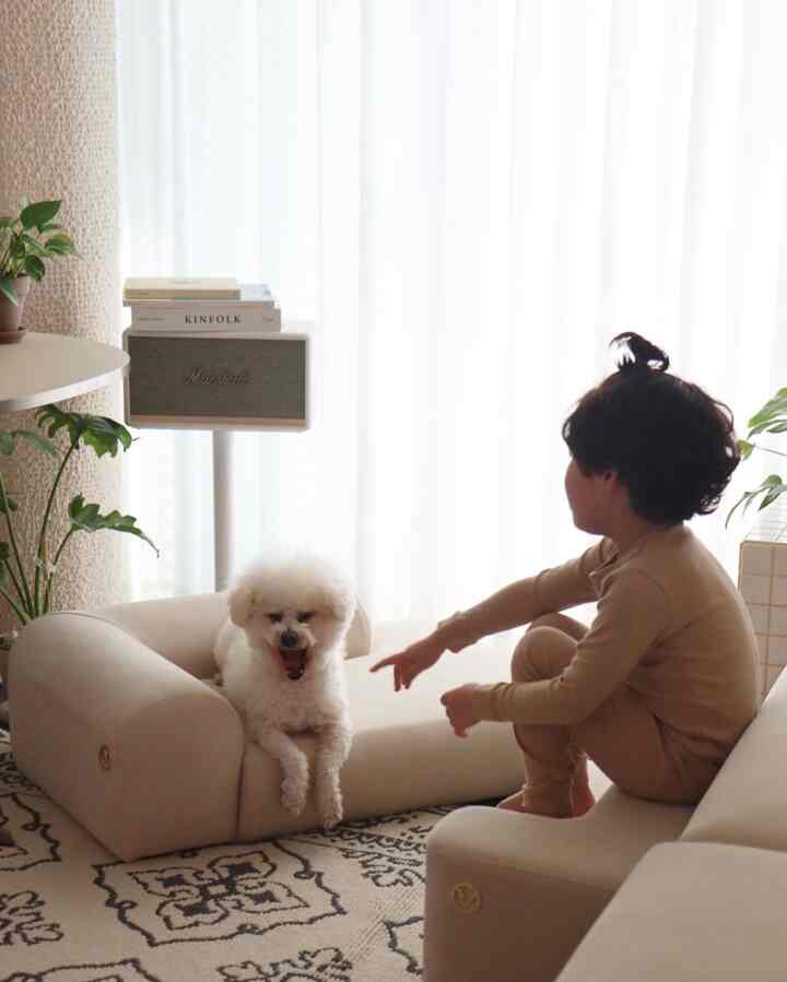 Soft beige-toned living room featuring a child and a dog interacting on a beige pet bed and sofa, creating a cozy atmosphere