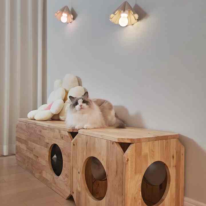 BENKU ウッド 猫用 ハウス ベンチを使ったコーディネート 2