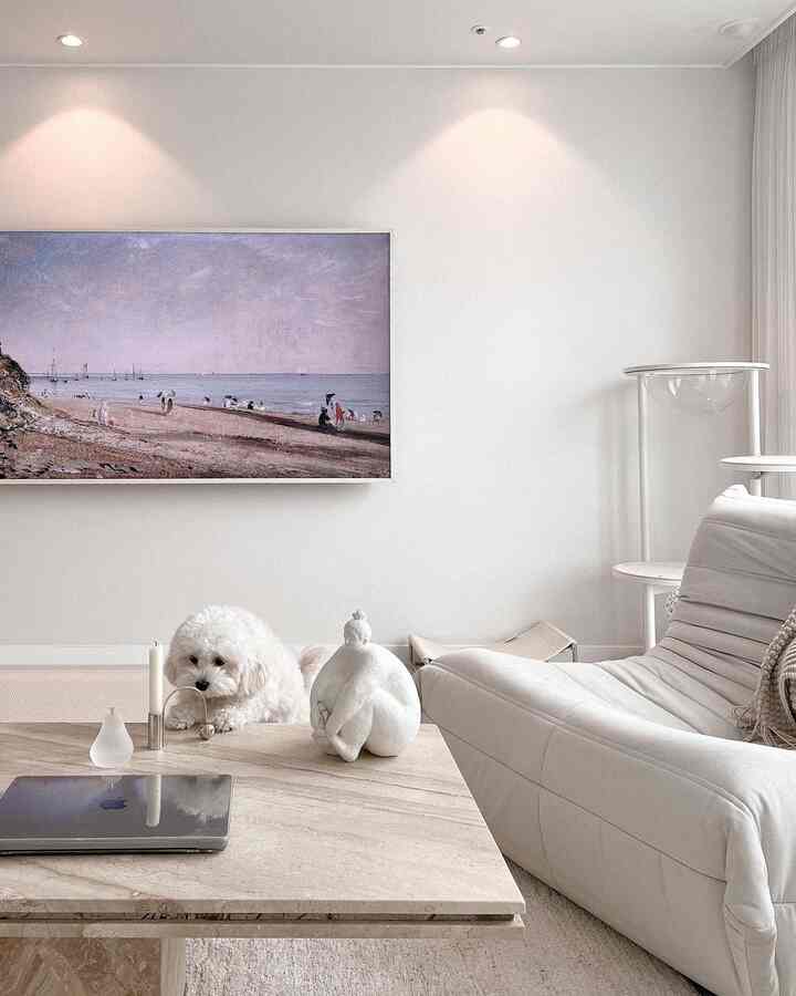 Bright white-toned living room featuring a cream sofa, marble coffee table, and a dog resting comfortably