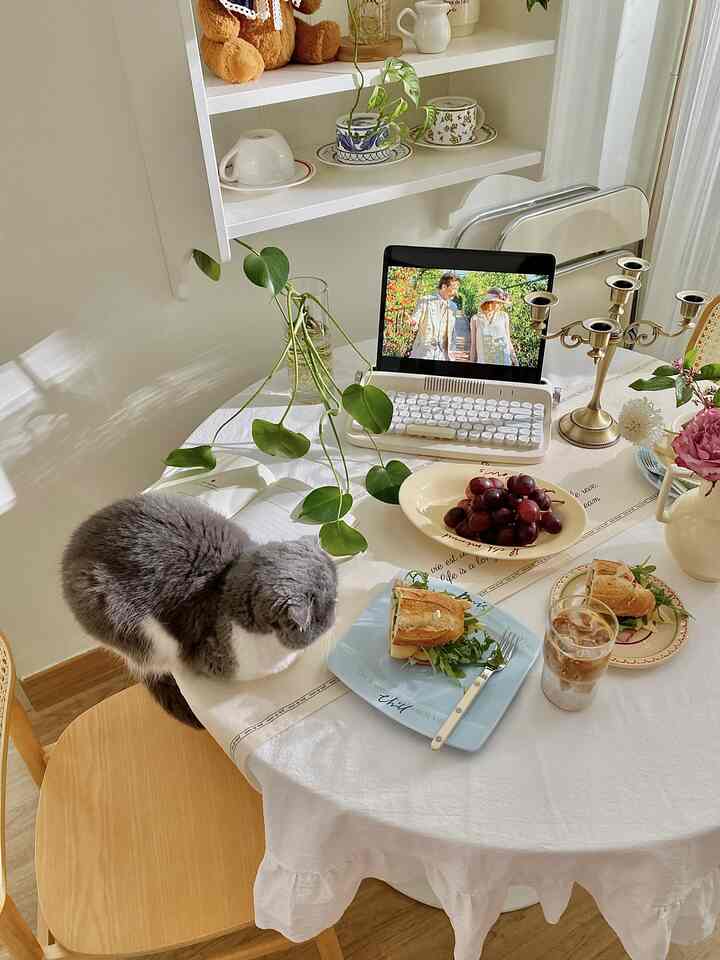 ホワイトとウッドトーンのナチュラルなおうちカフェダイニング、猫とアイスラテ、サンドイッチが並ぶ雰囲気ある空間