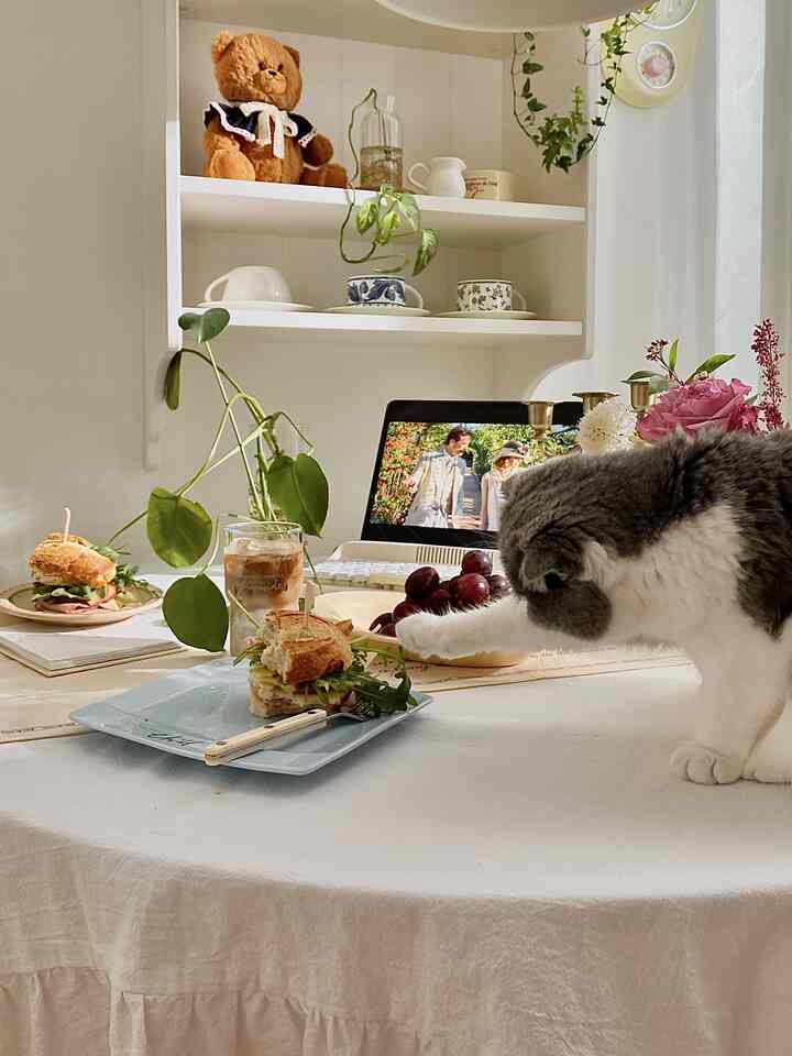 温かみのある白を基調とした食事スペースに猫がいて、コーヒーカップやサンドイッチが置かれた雰囲気のあるホームカフェ