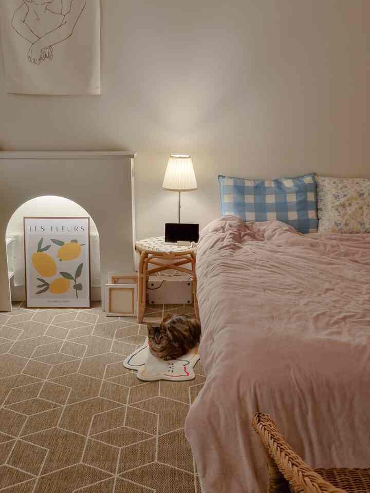 Cozy bedroom featuring soft beige geometric rug and light pink bedspread, a cat resting on a pet mat