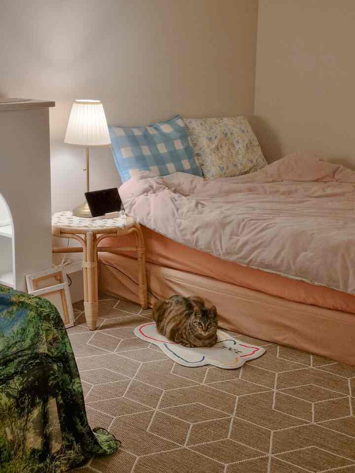 ベージュとピンクの寝室、猫が小さなラグの上に座る、温かみのある雰囲気のあるインテリア