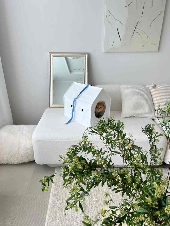 Natural-toned living room featuring a white sofa with a white cat house and an orange cat inside, creating a peaceful atmosphere