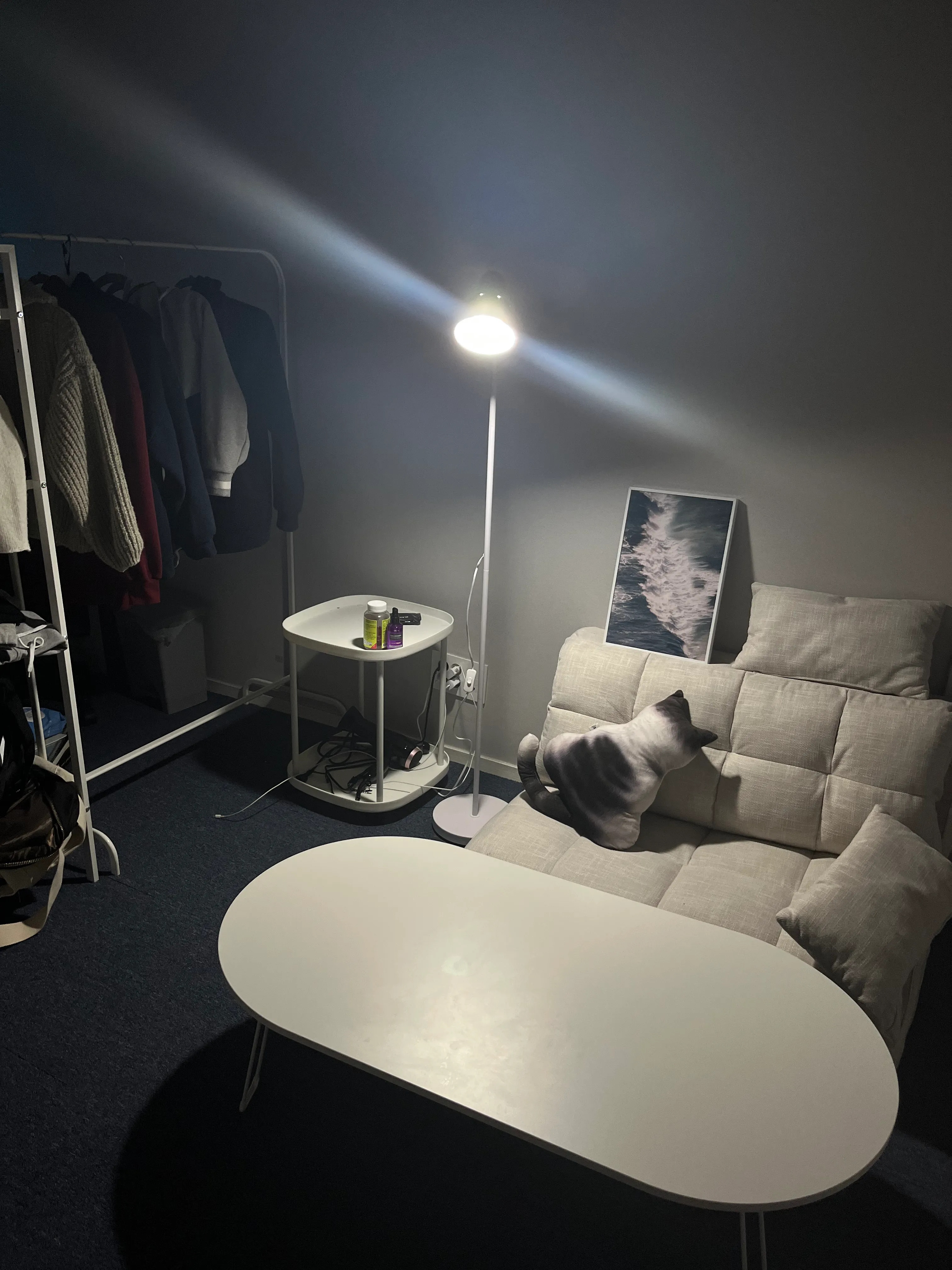 Foldable Oval Low Coffee Table user photo