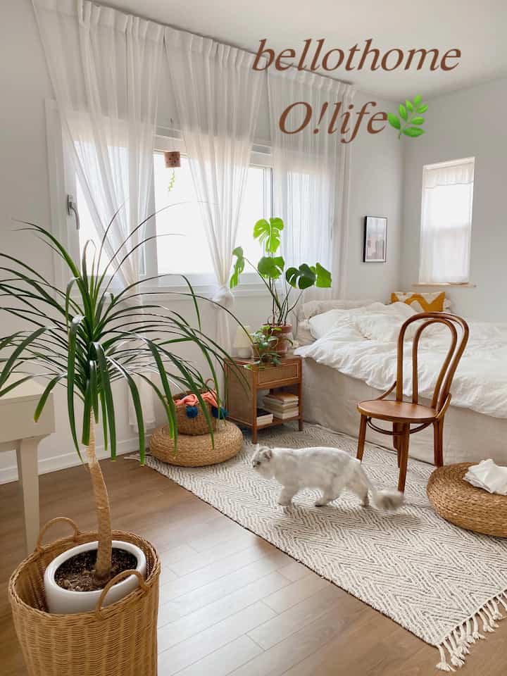 Even on a cloudy day, the interior is clear~☀️
The freshness that greets you when you wake up in the morning~🌿
If you arrange large and small plants scattered around,
it feels rich and nice~