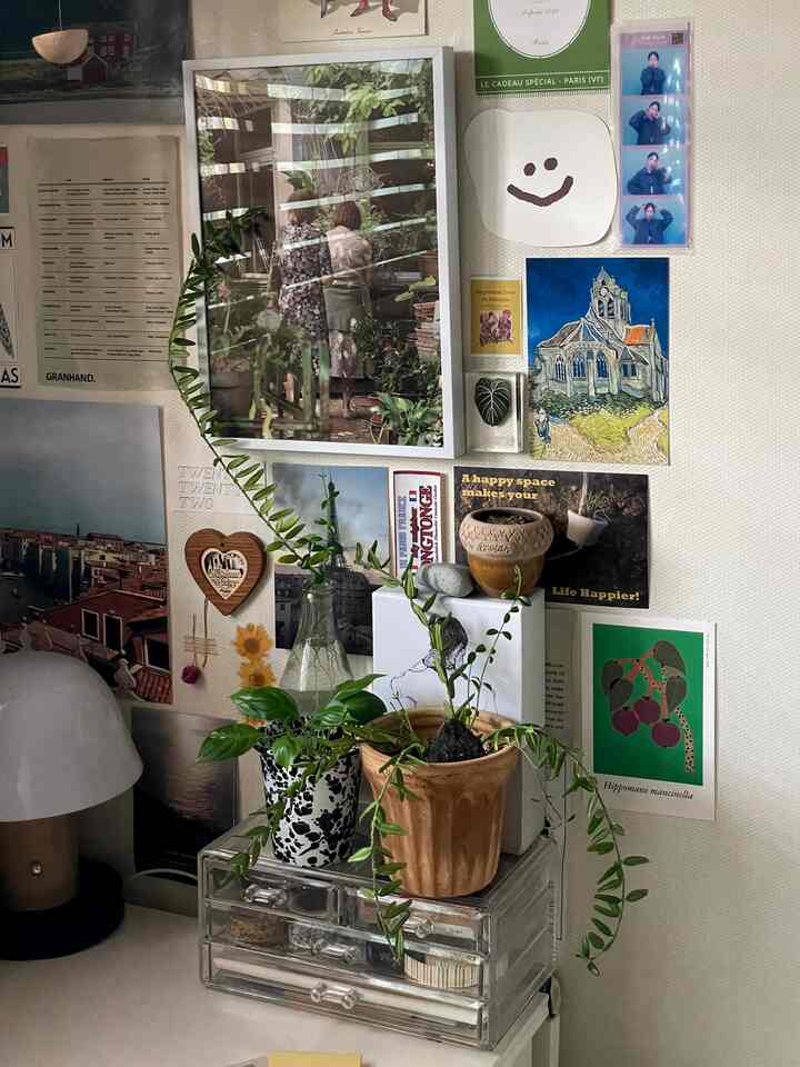 Small room desk corner with terracotta plant pots and various posters on the wall, showcasing a natural and cozy atmosphere