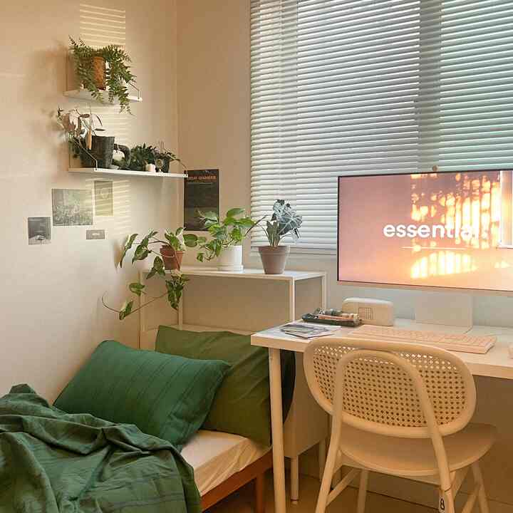 Natural-toned living room with white desk and sofa bed, featuring various plants creating a cozy atmosphere